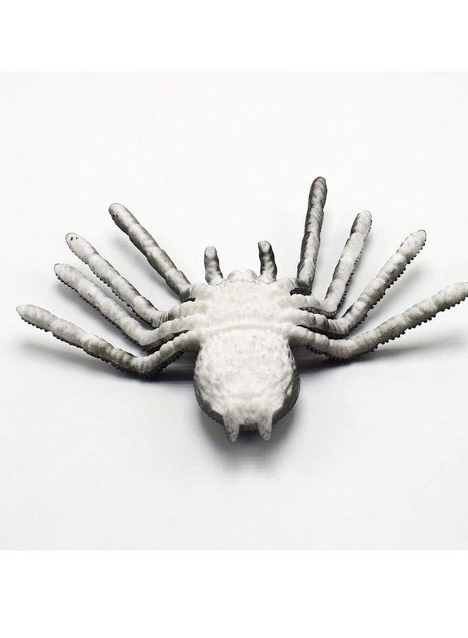 richtots Premium Spider Decorations, Large Spider Rubber Fake Spider Realistic Prank Props for Home Indoor Party Decorations Supplies - Image 5